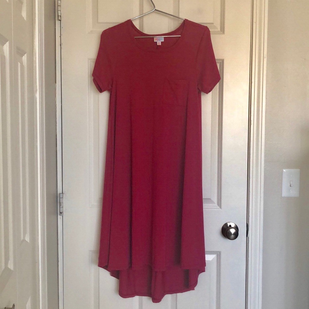BNWOT Pink Carly Dress